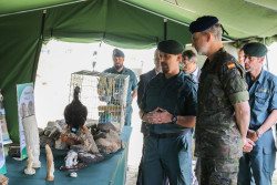El Gobierno nombra al General de Brigada David Blanes como nuevo jefe del SEPRONA de la Guardia Civil