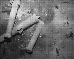 El Gobierno reitera que el gale&oacute;n San Jos&eacute; es "un buque espa&ntilde;ol" y que contin&uacute;an las negociaciones con Colombia