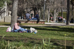 El Gobierno someter&aacute; a consulta p&uacute;blica la Ley de Bienestar Animal pero no somete a los ciudadanos si quieren o no, que siga este gobierno