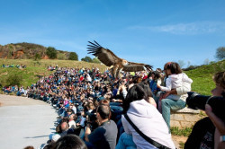 El Gobierno trabajará para incorporar nuevas especies y mejorar actividades en el Parque de Cabárceno