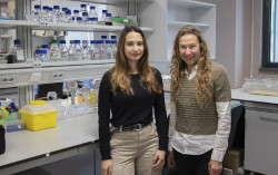El IBBTEC avanza en un sistema para transportar un fármaco experimental para el tratamiento de la fibrosis