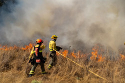 El incendio de gravedad 2 de Canalejas (Le&oacute;n) obliga a evacuar cinco localidades
