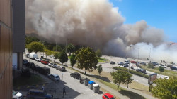 El incendio de Las Llamas que quemó 4,5 hectáreas se debe según expertos al estado de abandono del terreno