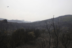 El incendio de Ourense entra en Le&oacute;n por Gestoso y provoca otro nivel 2 y evacuaciones