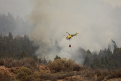 El incendio de Tenerife afecta ya a 5.000 hect&aacute;reas pese a que los trabajos se desarrollan de manera positiva