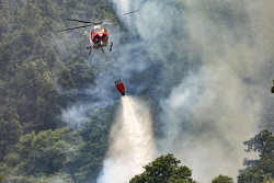 El incendio de Tenerife se mantiene estable con riesgo de reactivaci&oacute;n de focos por altas temperaturas