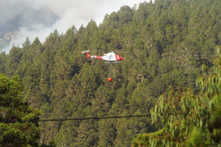 El incendio de Tenerife sigue fuera de capacidad de extinci&oacute;n aunque no hay que lamentar p&eacute;rdida de viviendas