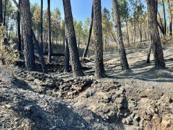 El incendio en Las Hurdes y Gata se mantiene en nivel 2 y trabajan 19 medios a&eacute;reos y 24 unidades de tierra