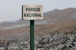 El incendio penetra en m&aacute;s de 1.000 hect&aacute;reas del Parque Nacional del Teide y deja da&ntilde;os irreparables en la retama