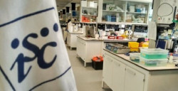  El ISCIII valida 11 nuevos laboratorios de centros de investigaci&oacute;n y universidades para hacer test PCR