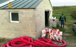 El juez continúa la causa contra el `cuidador` de 29 perros muertos, pero la sobresee para su dueño