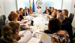El juez del `caso Koldo` admite la personaci&oacute;n del PP en la presunta trama de comisiones en contratos de mascarillas