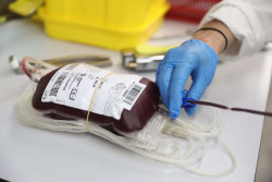 El laboratorio de Hematología de Valdecilla consigue la ISO9001 para su Sistema de Gestión de Calidad