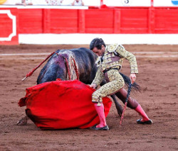 El mano a mano Morante y Ortega, primer `no hay billetes` de la Feria de Santander 2025