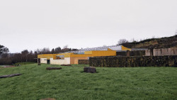 El Museo de Altamira celebra este fin semana sus jornadas anuales del programa #MuseoSinPrisas