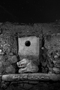 El Museo de Altamira inaugura el viernes la muestra fotográfica `Una nueva historia` de Isabel Muñoz