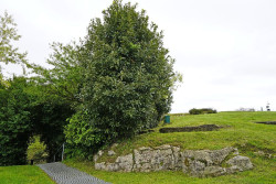 El Museo de Altamira organiza una visita guiada dentro de las Jornadas Europeas de Arqueología 2024