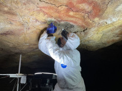 El Museo de Altamira programa actividades de divulgaci&oacute;n cient&iacute;fica del arte rupestre