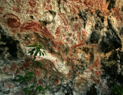 El Museo de Altamira se acerca al arte rupestre del archipi&eacute;lago de Palaos, en el Oc&eacute;ano Pac&iacute;fico
