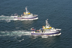 El Museo Marítimo del Cantábrico acoge hasta el 8 de junio la muestra `12 meses, 12 peces`