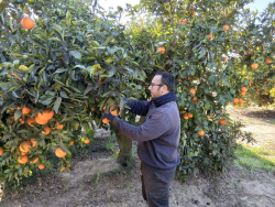 El n&uacute;mero de j&oacute;venes ocupados en el sector agrario cae un 11% entre 2009 y 2021