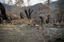 El oto&ntilde;o se estrena con lluvias, que en Canarias dejar&aacute;n gran cantidad, vientos y ca&iacute;da brusca de las temperaturas