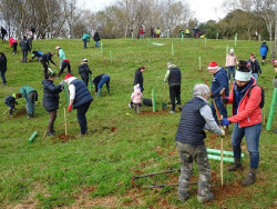 El Parque de Cabárceno acoge hoy una jornada de plantación de árboles autóctonos