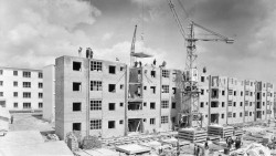  El "piso".  Por Carlos Magdalena Menchaca