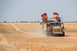 El PP defiende en el Congreso que los colegios ense&ntilde;en el trabajo agr&iacute;cola y lo que cuesta producir alimentos
