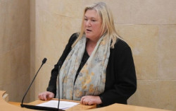 El PP exige al PRC "m&aacute;s seriedad y mayor responsabilidad" en lo referente a la gesti&oacute;n del oso pardo