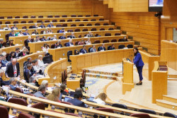 El PP lleva los fallos en las pulseras antimaltrato a una sesi&oacute;n monogr&aacute;fica en el Senado con sus CCAA el pr&oacute;ximo martes