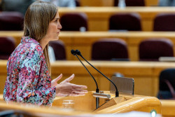 El PP llevar&aacute; al pr&oacute;ximo pleno del Senado la comisi&oacute;n de investigaci&oacute;n sobre el apag&oacute;n