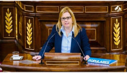 El PP pide al Gobierno central, que ya lo ha hecho Marcano, medidas para garantizar la viabilidad de la industria electrointensiva y calorintensiva