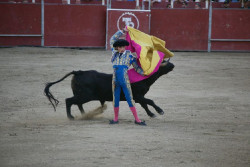 El PP pide al Gobierno que defienda inscribir la Tauromaquia como Patrimonio Cultural Inmaterial de la Humanidad