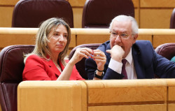 El PP recuperar&aacute; hoy en el Senado leyes para impedir `ongi etorri` y que los etarras vayan en listas electorales