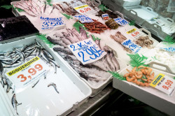 El PP reivindica en el Congreso las pescader&iacute;as tradicionales y urge al Gobierno a protegerlas