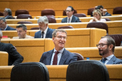 El PP se prepara para controlar el Senado desde este jueves, con mayor&iacute;a absoluta, Presidencia y derecho de veto