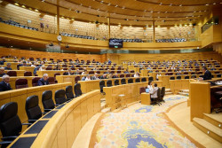 El PP suspende el debate en el Senado de la rebaja de penas de etarras, pero el plazo m&aacute;ximo ser&aacute; el 14 de octubre