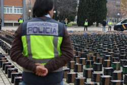 El precio de la coca&iacute;na cae a la mitad por la sobreproducci&oacute;n en origen debido a la prohibici&oacute;n de fumigar plantaciones