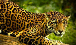 El precio del poder y la codicia, por Clara Miranda Carmena