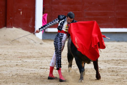 El Premio Nacional de Tauromaquia 2024 convocado por el Senado y varias CC.AA se falla hoy en Toledo