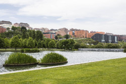 El PSOE asegura que el Ayuntamiento adeuda a la empresa de parques y jardines "10 millones"