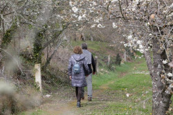 El PSOE busca promover c&oacute;digos &eacute;ticos con comunidades aut&oacute;nomas y empresas tur&iacute;sticas