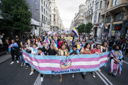 El PSOE metido en el l&iacute;o de la Ley Trans por Podemos  pretende chapotear el sentido com&uacute;n  metiendo al juez en el cambio de g&eacute;nero de los ni&ntilde;os de 14 a 16 a&ntilde;os.