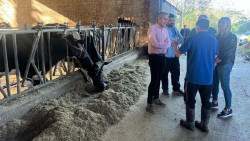 El PSOE solicita la comparecencia de las organizaciones agrarias en el Parlamento