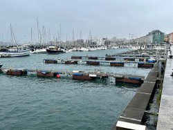 El puerto de Santander tendrá finalizada en abril la reordenación de la lámina de agua de la Dársena de Molnedo