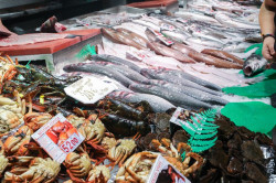 El sector pesquero valora las ayudas al gasoil, pero lamenta que no se considere al pescado como alimento b&aacute;sico