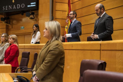 El Senado destinar&aacute; hasta 250.000 euros a contratar clases de idiomas para los senadores