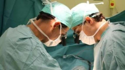 El valor de las manos   Por Juan Goti Ordeñana  Catedrático jubilado de la Universidad de Valladolid