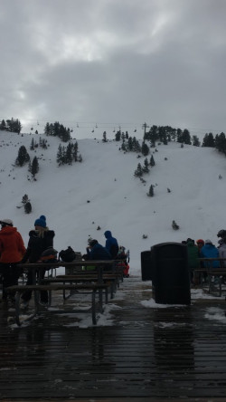 Embaucando, por Alfonso Campuzano